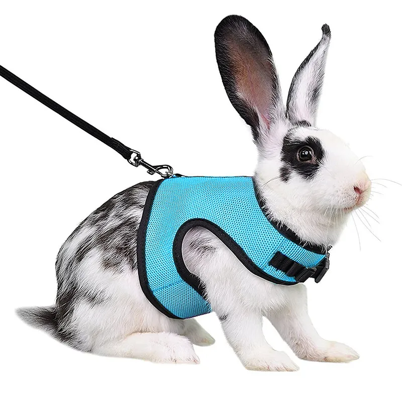 Guinea Pig Rabbit Rope Minipet Traction Vest Chest Back - Light Blue