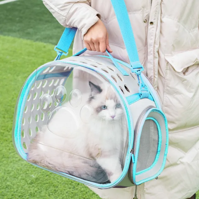 Pet Cat Transparent Bag Space Capsule Backpack Lake Blue - Shop at LoveMi