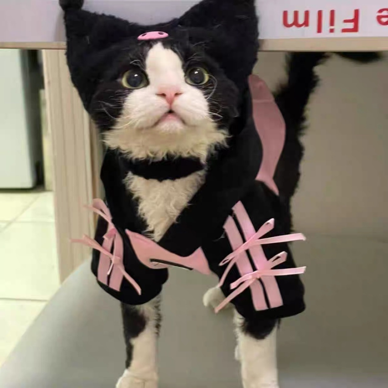 German-style Universal Winter Cotton Outfit For Pets And Cats — foto 4
