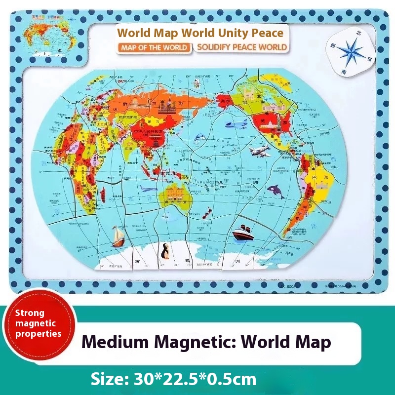 Medium Magnetic World Map