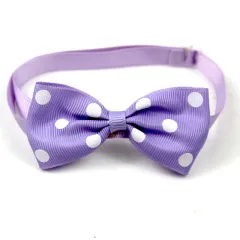 Pet Supplies Accessories Polka Dot Bow Tie - Purple White Dots - View 1
