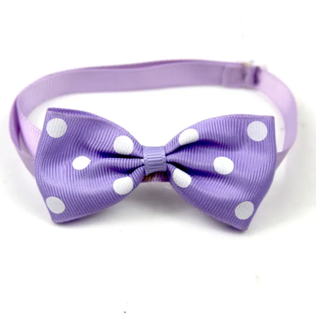 Pet Supplies Accessories Polka Dot Bow Tie Purple White Dots - Shop at LoveMi