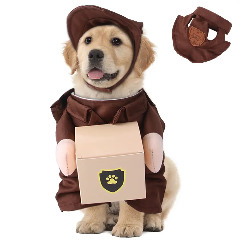 Pet Courier Standing Clothing Outing Funny Clothes