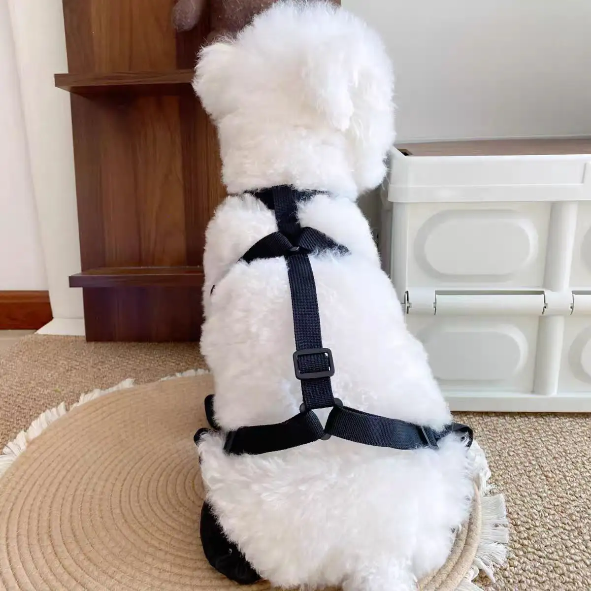 Lightweight Comfortable Four-season Pet Shoes