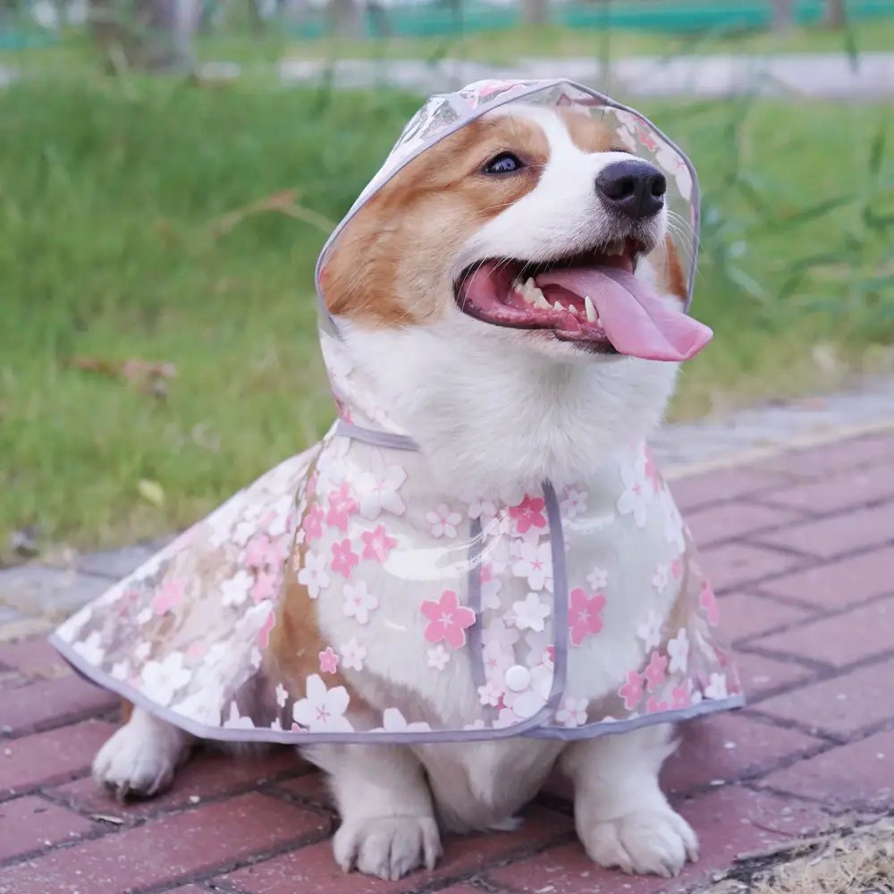 Floral TPU Dog Raincoat with Hood for Small to Large Dogs