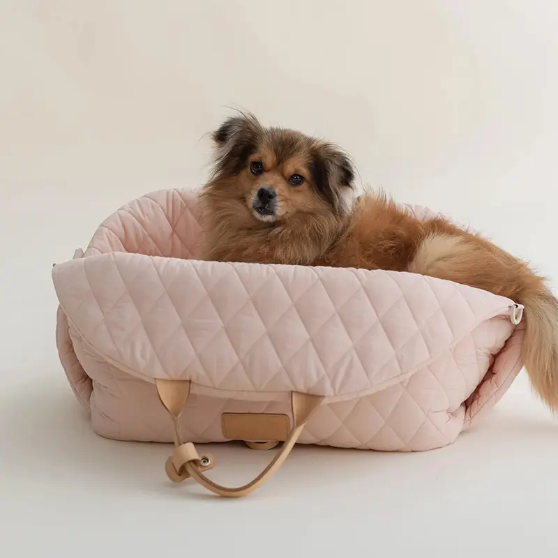 Pet Handbag Outdoor Cat