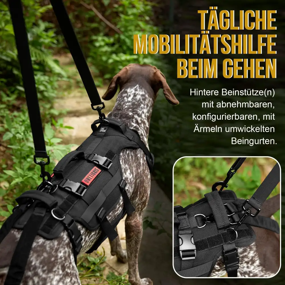 Tactical Vest Outdoor Dog Harness
