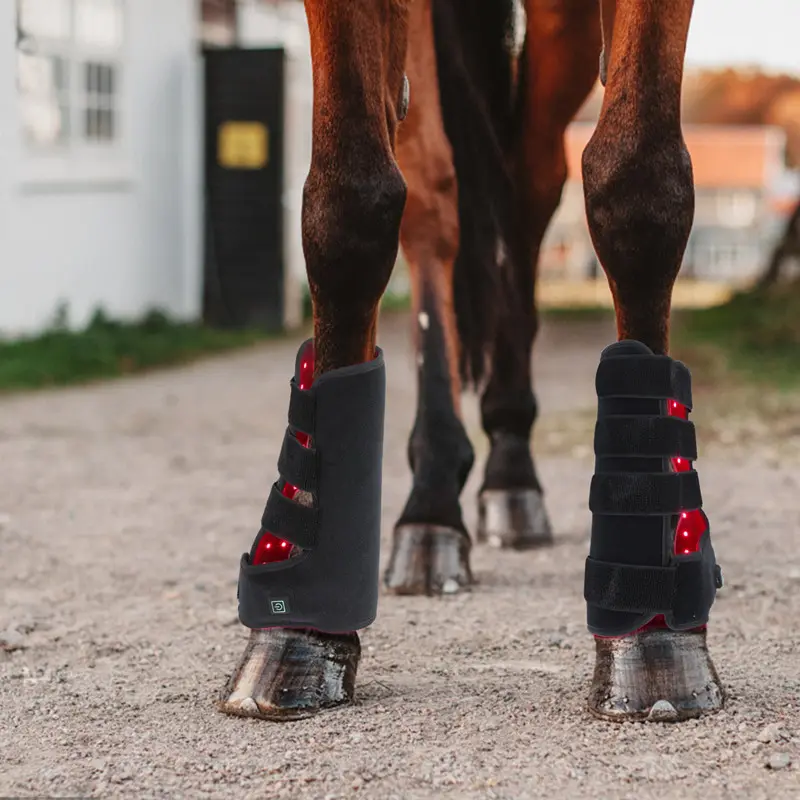 Red Light Infrared Pet Sports Wound Recovery Horse Leg
