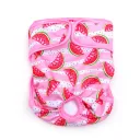 Pink Watermelon