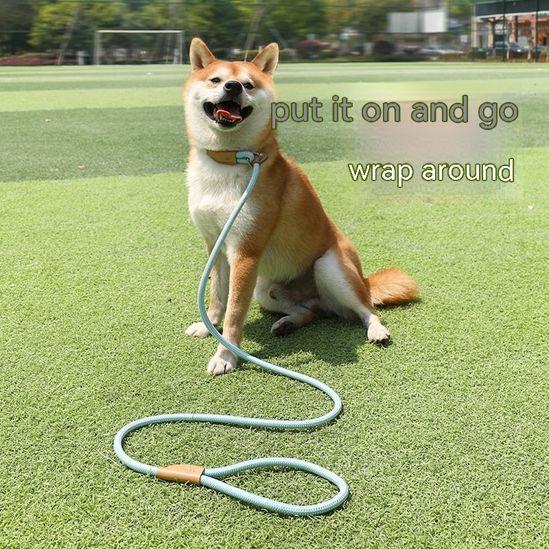 Corde de maintien de main d'animal de compagnie de chien de ménage