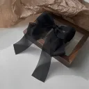 Black Spring Clip