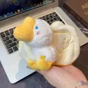 Mango Duck