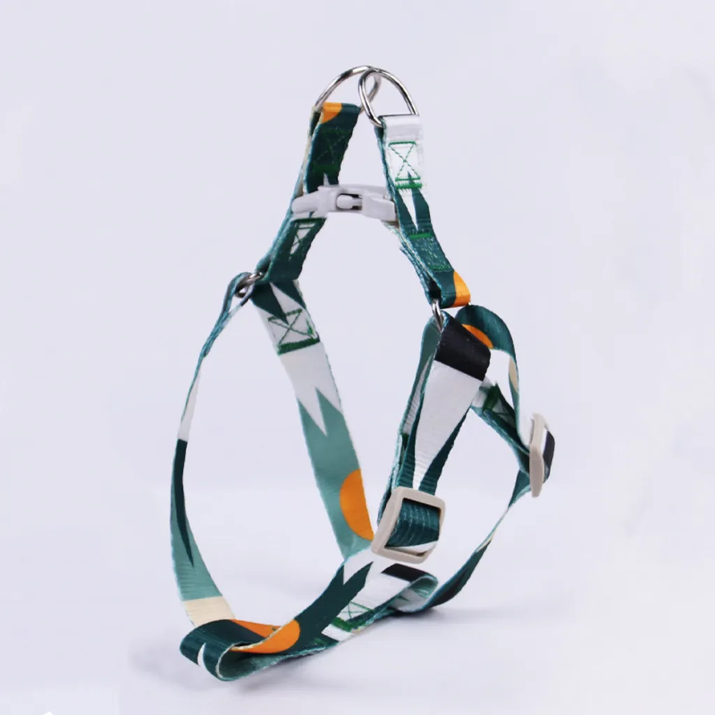 Hand Holding Rope Outing Dog Leash Dog Collar Three-piece Set - Green And White Single Chest A