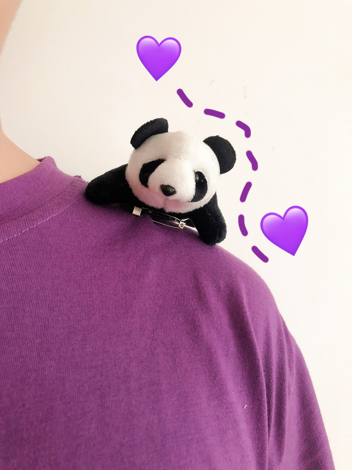 Title 1, Baby panda Brooch