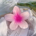 2 Pink Plumeria Rubra 8Cm