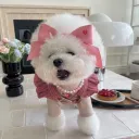 Imported Pink Hair Band