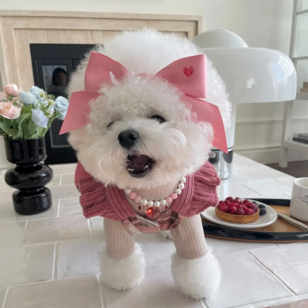 Princess Style Bow Tension Adjustment Headdress Pet Accessories Hair Band - Imported Pink Hair Band
