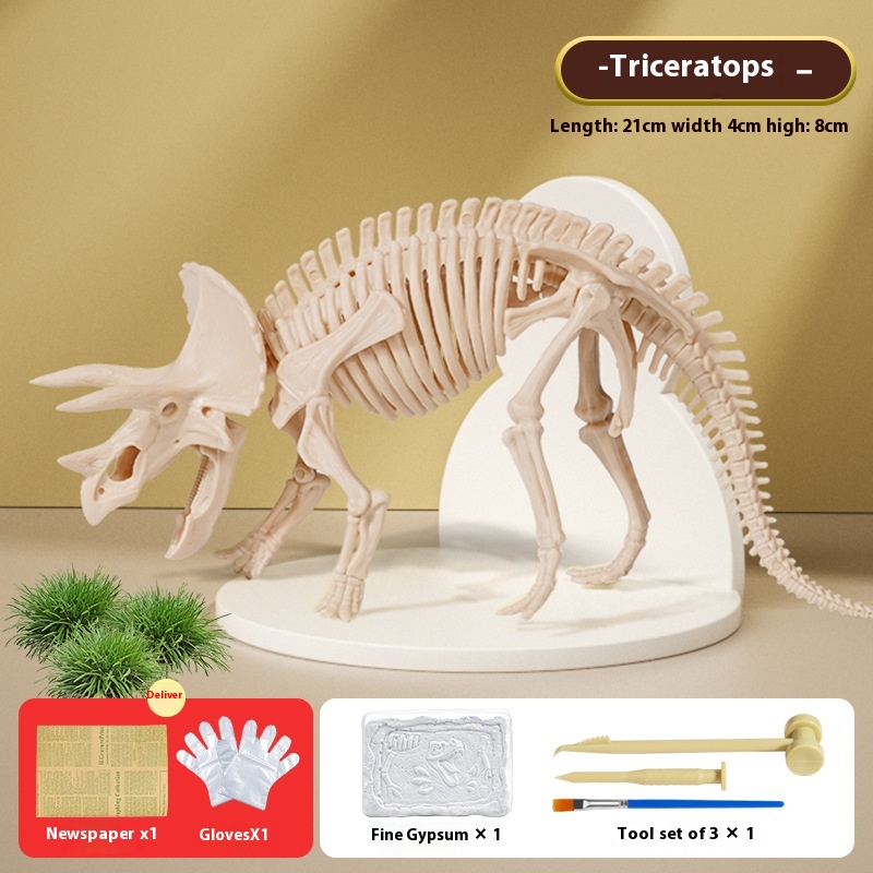 Triceratron Fossil