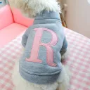 Letter R Sweater Gray