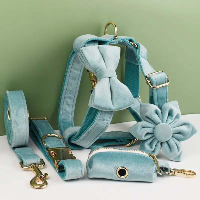 Lake Green New-Style Dog Pet Collar