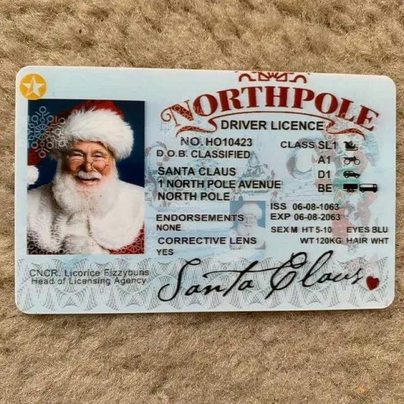 Title 1, Christmas Gift For Children Sled Driving License