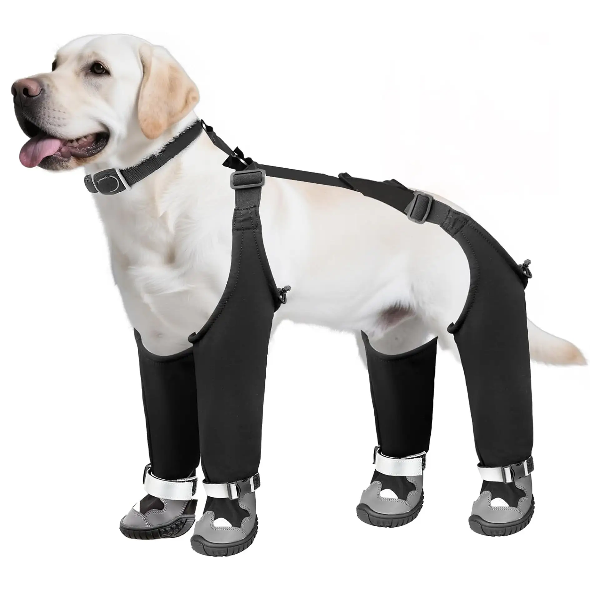 Pet Dog Shoes Outdoor Windproof Warm And Cold-resistant Dog Footwear