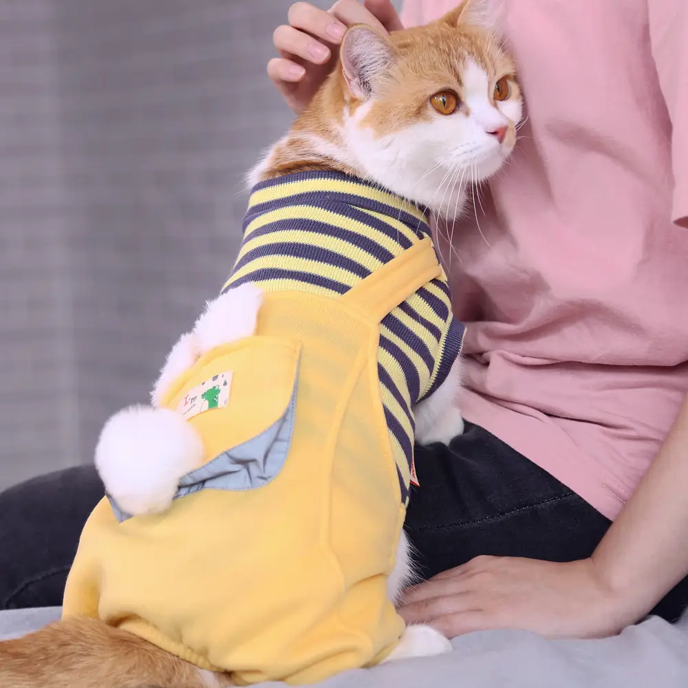 Warm And Cute Clothes For Four-legged Anti-lint Cat And Pet