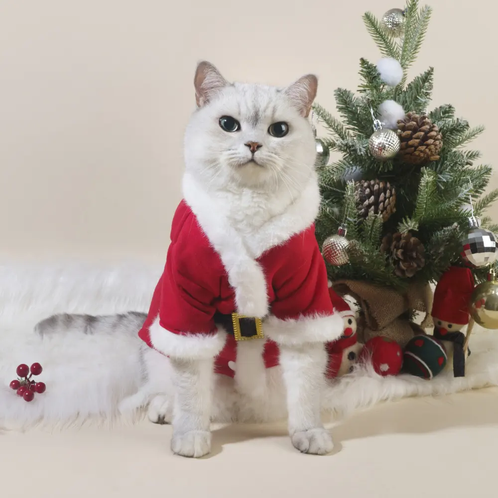 Autumn and Winter New Christmas Pet Cat Dog Pet