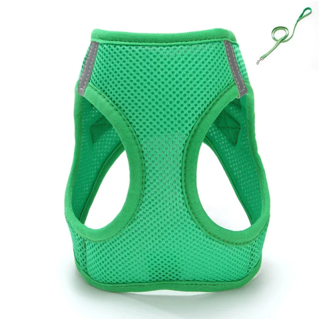 Cat Pulling Rope Vest style Slip Dogs And Cats Rope Pet Outing Mesh Cat Leash Green Hand Holding Rope - Shop at LoveMi