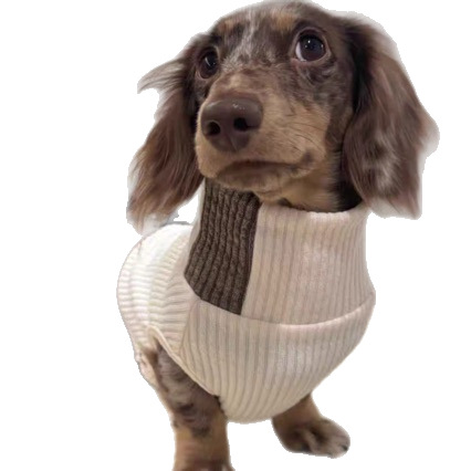 Fashionable Knitwear For Cats And Dogs Perfect For Fall And Winter