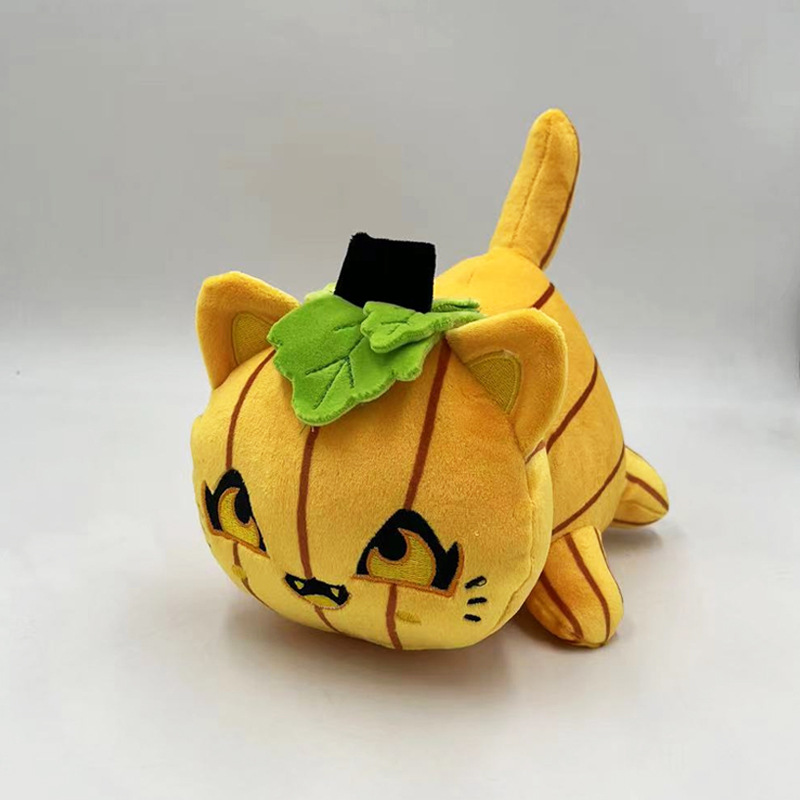 Jack Pumpkin Cat