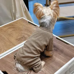 Pet Clothing For Small Dogs, Four-legged Garment - Brown - View 1