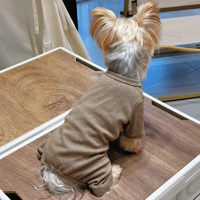 Pet Clothing For Small Dogs, Four legged Garment Brown - Shop at LoveMi