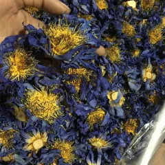 Blue Lotus Dried Flowers Natural Drying Non-drying Fragrance Lasting Rich Selection Dry Lotus - 25G - View 1