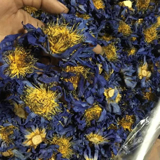 Blue Lotus Dried Flowers Natural Drying Non drying Fragrance Lasting Rich Selection Dry Lotus 25G - Shop at LoveMi