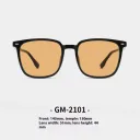 Gm2101