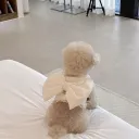 Beige Suit