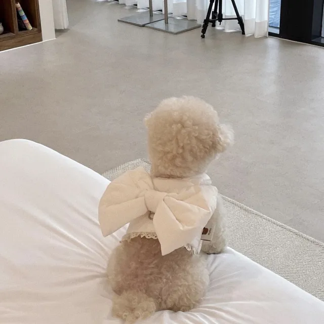 Cute Bow Autumn And Winter Plush Dog Breast Strap Beige Suit - Shop at LoveMi