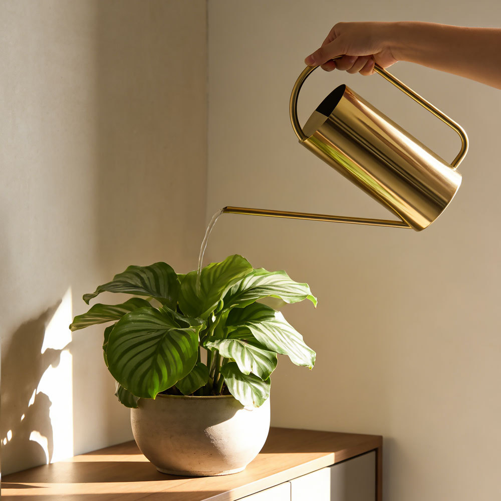 Long-spout Watering Can Household Portable Water Sprayer For Houseplants