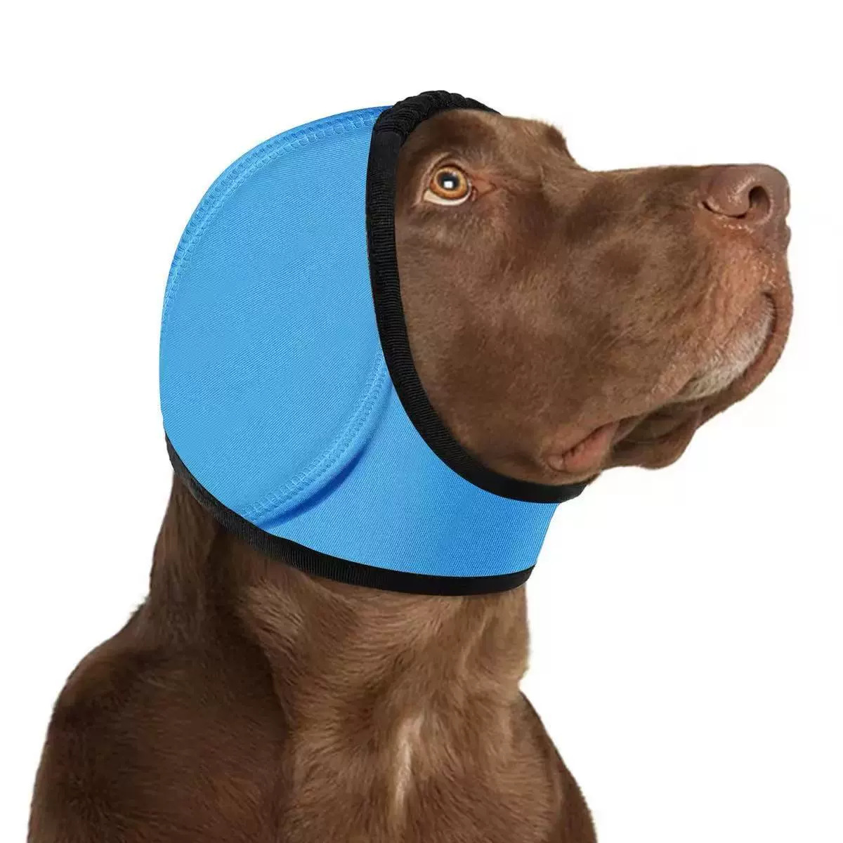 Swim-Proof Head Cover For Pet Dogs In Fall And Winter