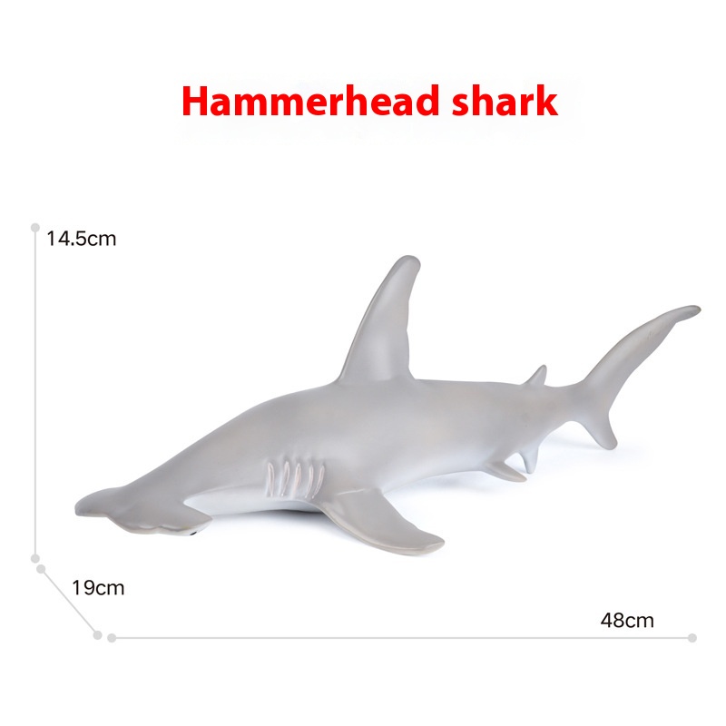 Hammerhead Shark