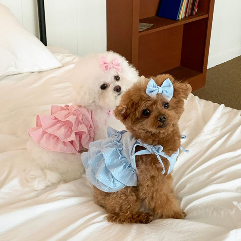 Vestido con corazones para perras
