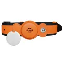 Bone Style Orange