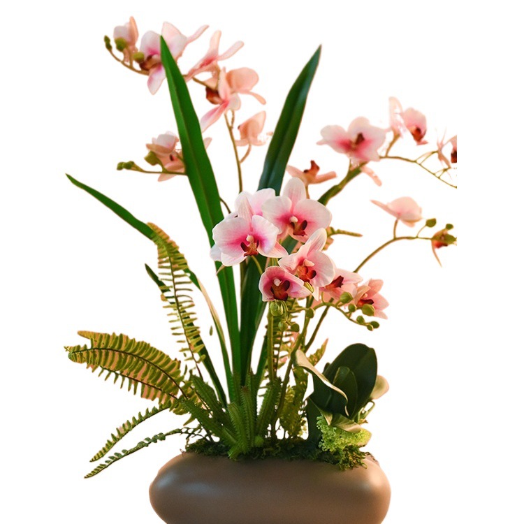 Faux Phalaenopsis Potted Plant