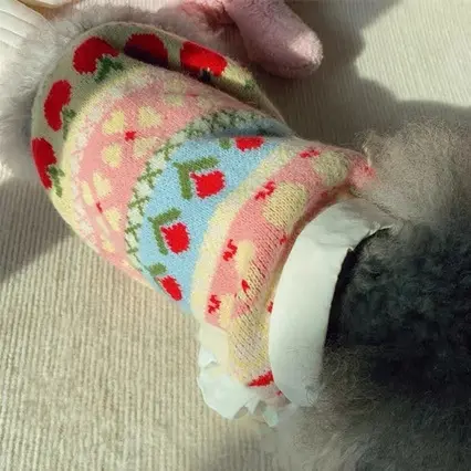 Universal Cute Warm Sweater