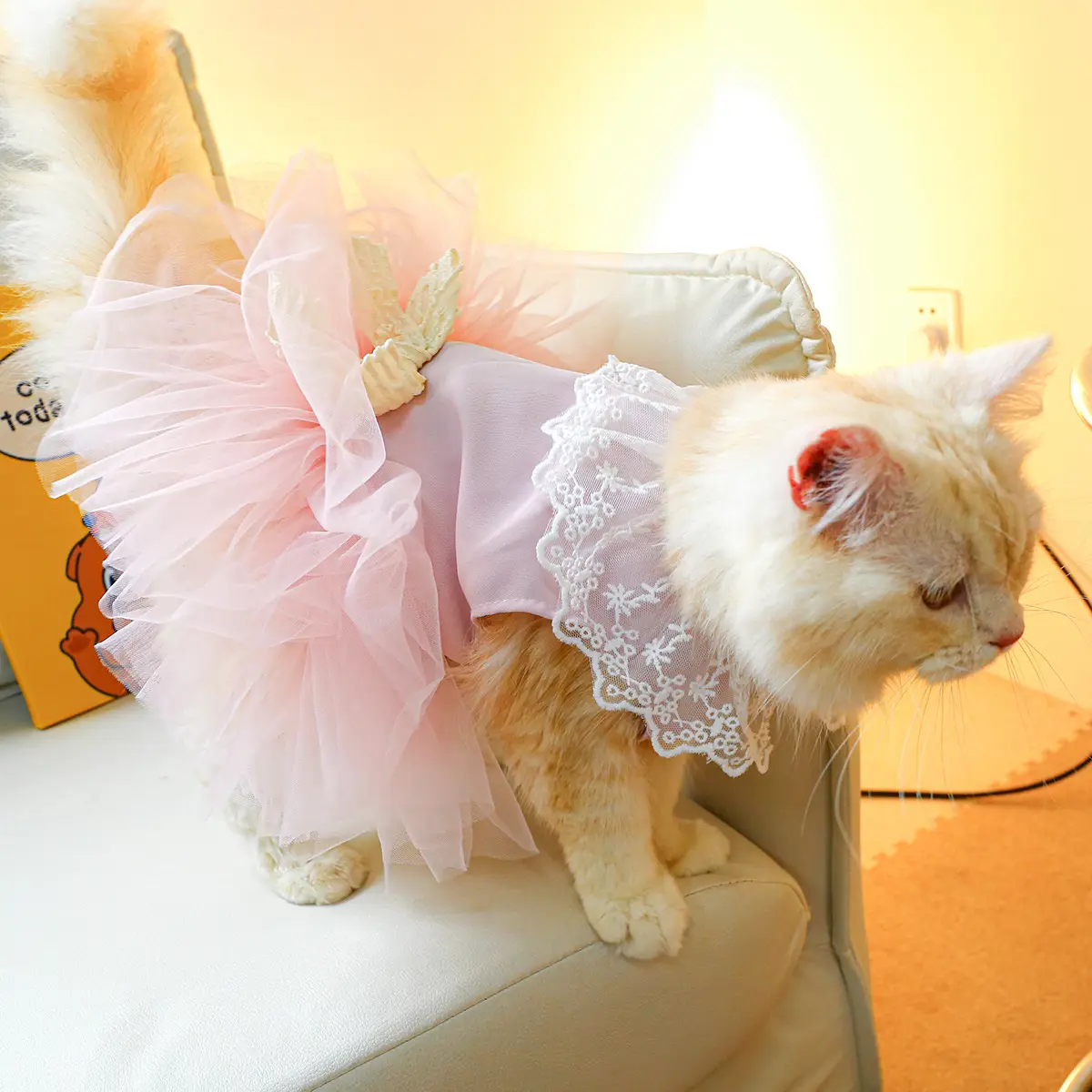 Pet Clothing Cat Clothes Lace