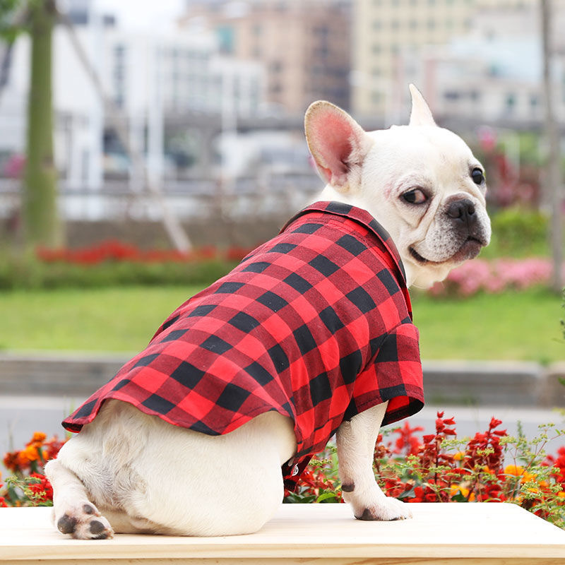 Plaid Shirt Red