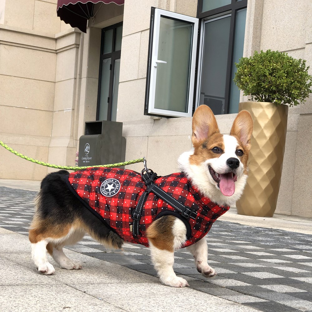Autumn And Winter Clothing Warm Pet Clothing Waterproof Reflective Tape Chest Back Dog Cotton Plaid - Shop at LoveMi