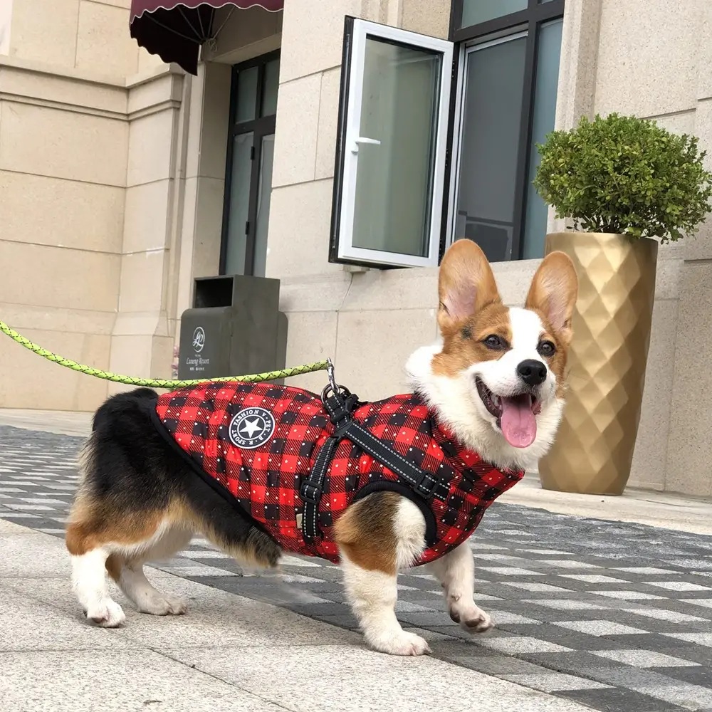 Autumn And Winter Clothing Warm Pet Waterproof