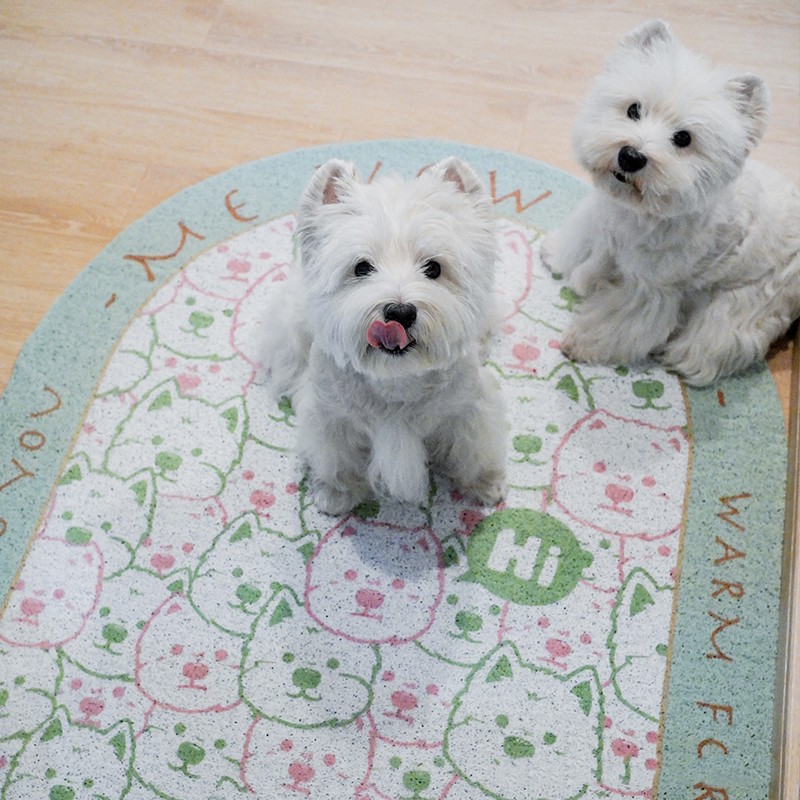 Cartoon Non-slip Floor Mat Wear-resistant PVC Floor Mat